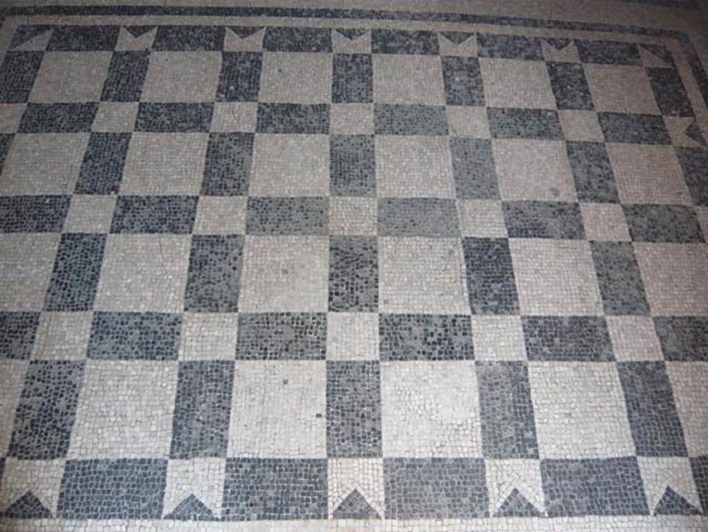 VI.8, Herculaneum. August 2013. Detail of mosaic floor in anteroom of waiting room.
Photo courtesy of Buzz Ferebee.